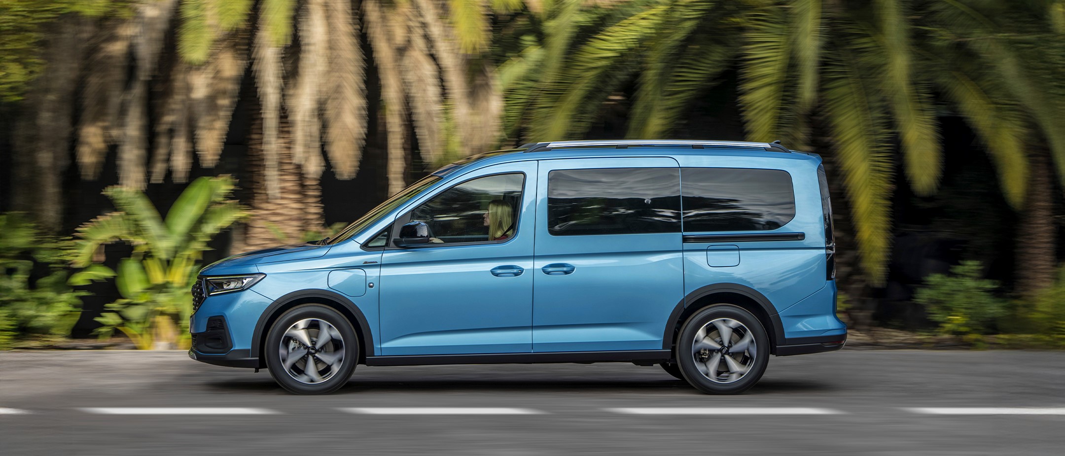 Plug-In Hybrid