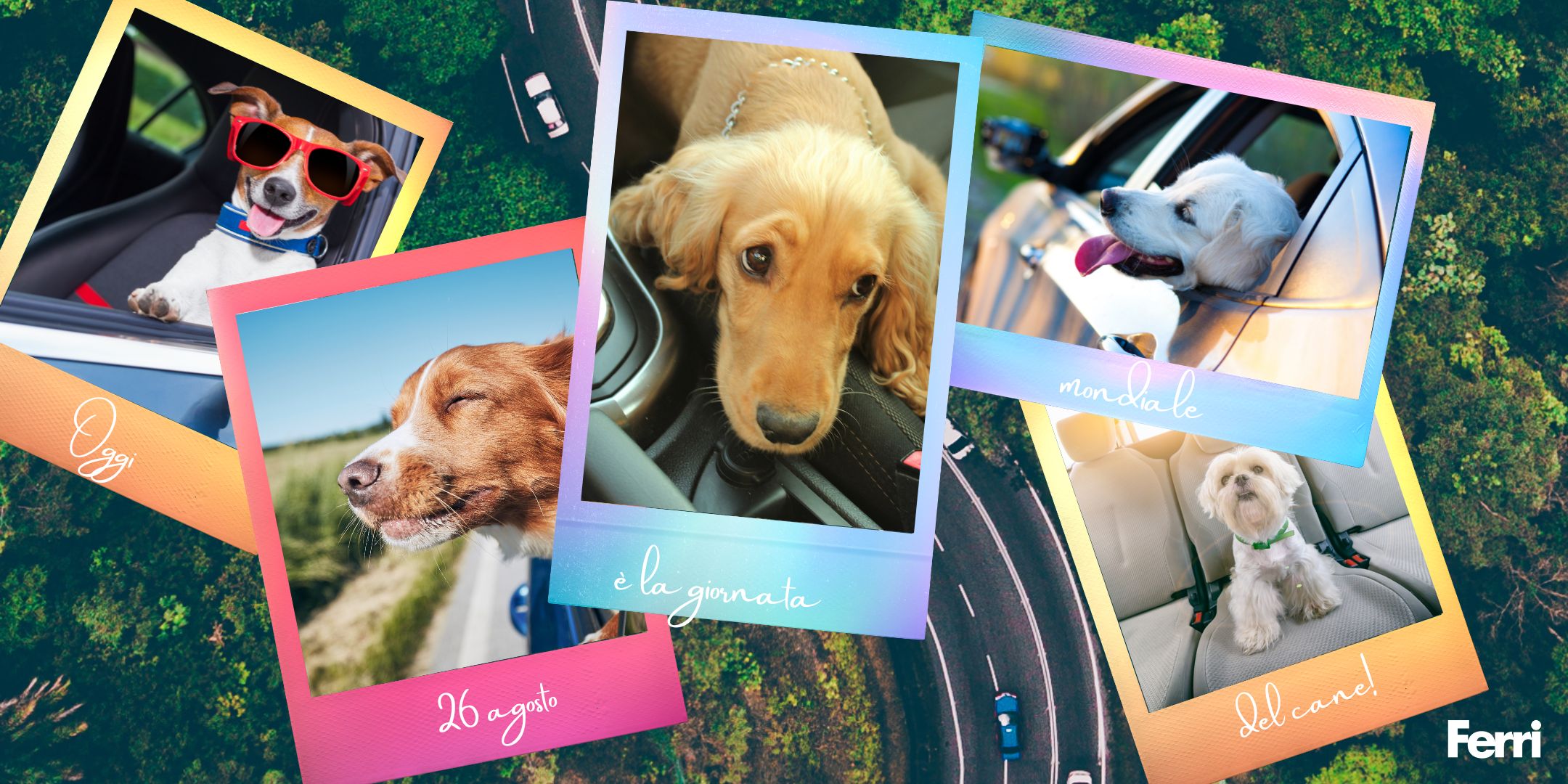Viaggiare con il cane in auto? Ecco 5 consigli!