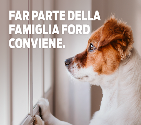 ASSISTENZA AUTO FORD con Ford Value 4+