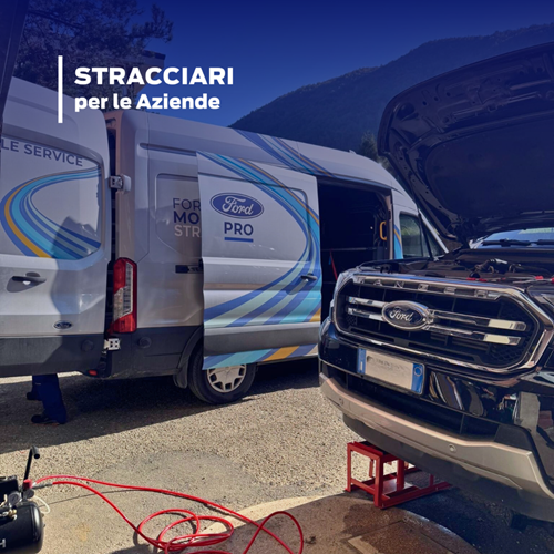 Mobile Service in visita ad un cliente